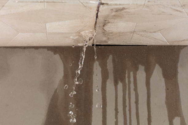 Professional Water Damage Repair technician working in Tate, GA